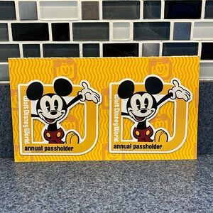 DISNEY World Annual Passholder Magnets Set of 2